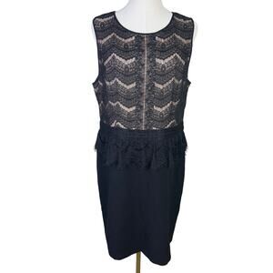 Ann Taylor Loft Lace Knee Length Cocktail Dress US Women's 14 Plus